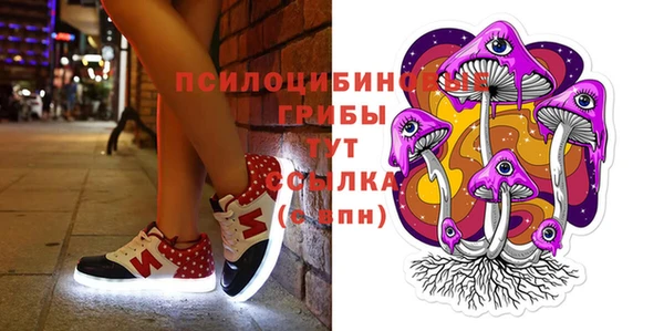 гидропоника Верхний Тагил