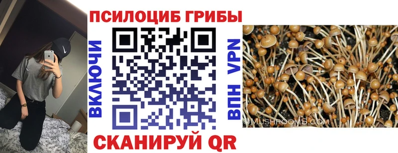Галлюциногенные грибы мухоморы Янаул